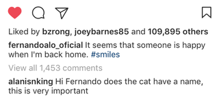 Illustration for article titled EXCLUSIVE: After Much Detective Work And Investigating We Now Know The Name Of Fernando Alonso’s Cat